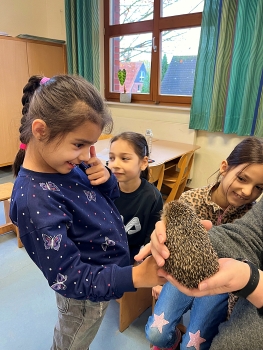 Bild "schulleben_highlights_Igel_2.JPG"