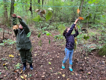 Bild "schulleben_highlights_wald_3.JPG"