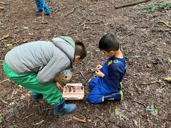 Bild "schulleben_highlights_wald_4.JPG"