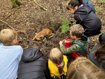 Bild "schulleben_highlights_wald_6.JPG"